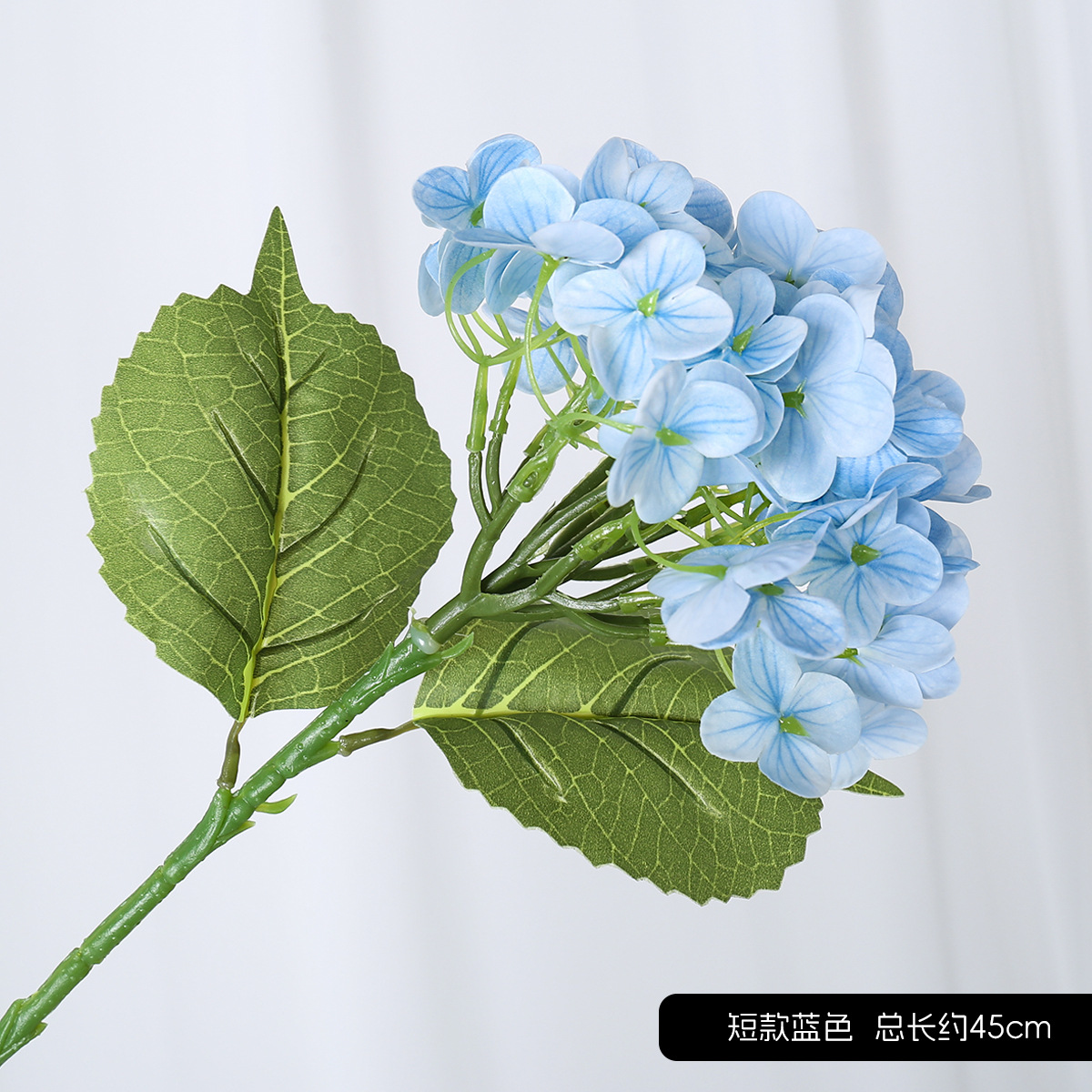 짧은 수국 블루