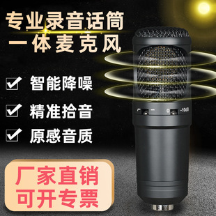 Factory Direct Sales Professional Microphone Condenser Bluetooth Dubbing Karaoke Live Broadcast Outdoor Recording Equipment Microphone