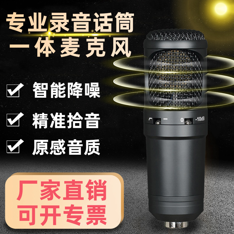 厂家直售专业话筒电容式蓝牙配音K歌直播户外录音设备麦克风