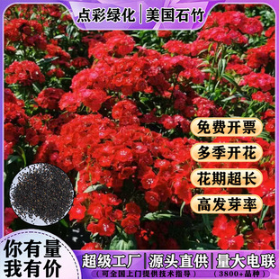 ����ʯ��N�ӳ���ʯ��ͥԺ�����������޸����N�����ʯ��N�����l