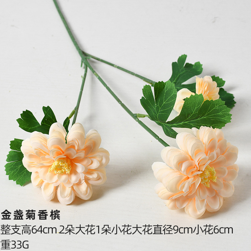 3-headed double petal marigold champagne