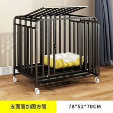 \ӴȮȮӴֹ\ë˹߅ﹷl