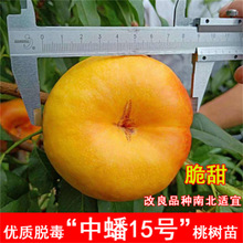 �S������Ҙ����޽��Ҙ���ˮ���Ҙ����S�Ҙ��箔��Y���Nֲ����