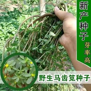 �R�X�{�N���®aҰ�˷N��ʳ���R�X�����L�۲��R�X�a��ͥԺ�̨�Nֲ