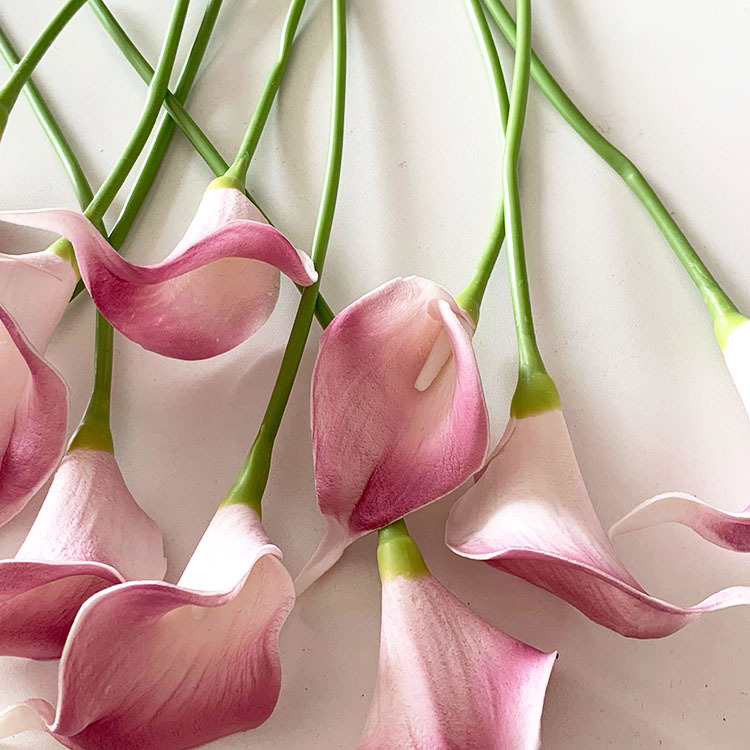 QQ图片20230306094007