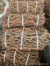 ��ș�ĺ�������ș��ɽ�������L��������������ă����I���N��ș��