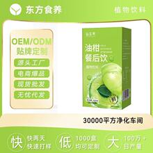 仙姿果  油柑餐后饮植物饮料果蔬粉植物果汁冲饮冲泡饮品量大从优