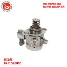 ���������ѹ�ͱ�ȼ�ͱ� 0261520095 C1BG-9D376AA CM5G-9D376-GA