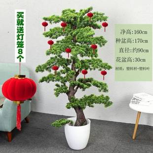 Simulation Green Plant Welcome Pine Luo Han Pine Large Fake Tree Potted Plant Decoration Indoor Living Room Floor Thuja Bonsai Wholesale