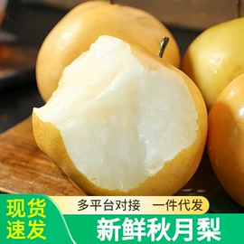 块茎类;其他水果;苹果