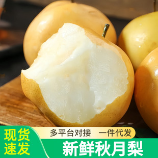 �������������rˮ���ٷ��������������r������������޶�