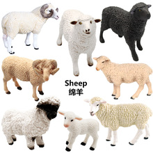 �羳���x���挍��PVC����d��ģ�̓�ͯ�����J֪�����߈����[��