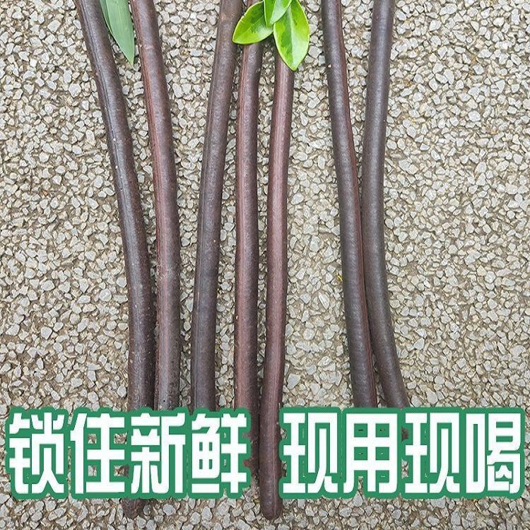 Bian Mi Gu Dried Cassia Fruit Pulp 500g Yunnan Da Jie Gu Traditional Herbal Fruit key features