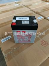 YUASA\늳NPW45-12Ҏ12V45W늳m܇