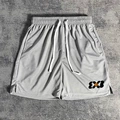 YW300 Gray