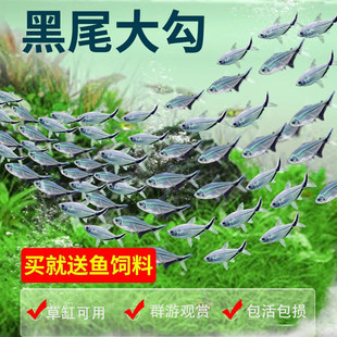 ��β��Ⱥ���~���w�Ꭷ�^�p�~��ˮ�ݸ���������ʹ�t�󹴳�����~