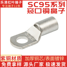 ����SC95 /120ƽ�� �Q���䉺���� �~���� 늾����|�����^  �䉺