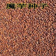 ߮aħһNXmĥħNm^ѻɏƷNѿ