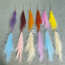 �����JȔ12��ëë�ݼ���ë�����������c��Y·���bٻ��羳