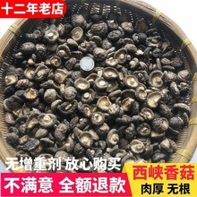 新货促销小香菇干货500g农家特产肉厚无根小干香菇商用可散装包邮