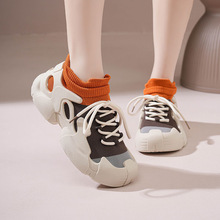 ŮЬ߼аٴe\ЬϵЬwp͸⳱r\ŮЬ