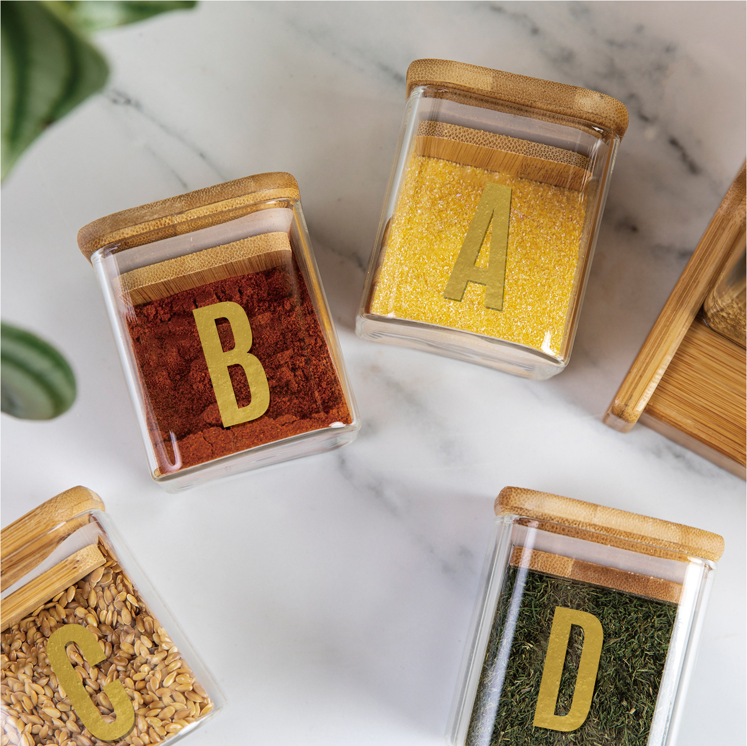 2.5英寸烫金主图02_画板 1 副本.jpg