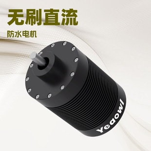 Brushless Dc High Torque Motor 120160 Underwater Mining Equipment Unmanned Monitoring Boat Thruster Customized Motor