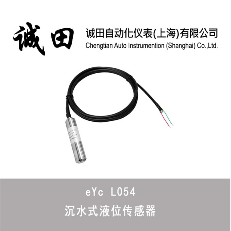 投入式液位计液位传感器探头液位计液位控制eYc L054