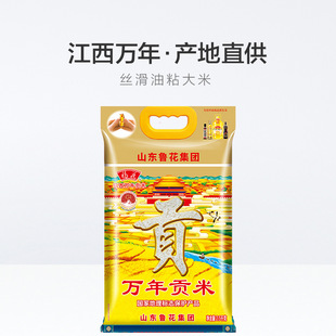 �����i���f����Ʒ��ؕ��2.5kg ܛ����ճ����