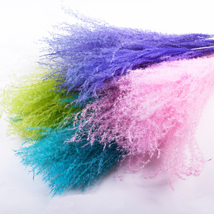 ���m���ɻ����l�W�tƯɫ���羳�R�d���NС�JȔ���������������x