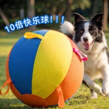 ��Ƥ��������߿�˺ҧĥ��������ߴ���Ȯ߅�����˽␞������Ʒ