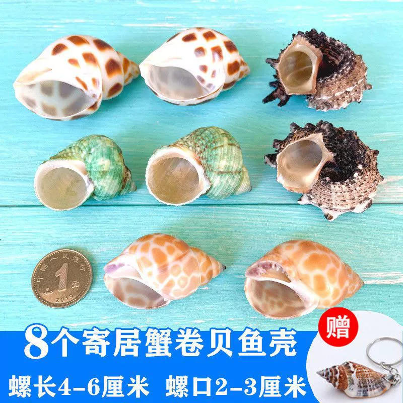 Aquarium decor, materials set for swimming, starfish