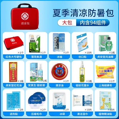 and Cooling Emergency Kit, Summer: Kempinq və səyahət - large-portable-cooler-bag-94-components
