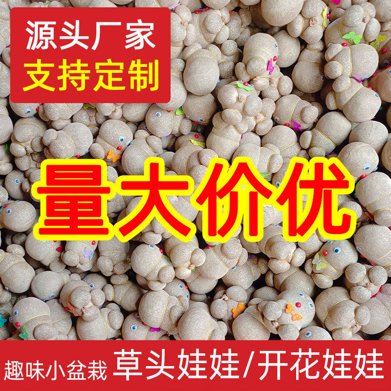 Grass Head Doll Wholesale Long Grass Doll Flowering Doll Kidsren's Small Potted Green Plants Hydroponic Plants Two Yuan Store Gifts