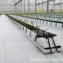 ۱ϩPPNֲ Ҵõrл{ݮݮ߲ o