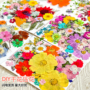 �_�W���ɻ��������ϰ��ֹ�diy����ֲ��˱����z����Ѻ���滨����