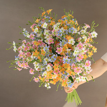 �¿���Ұ�ջ���@�黨�ٻ�������С�r�ս����b͏d�ɻ�