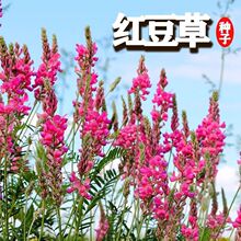 tݷNݷNͺͺ}|ţRϲʳԴ^p