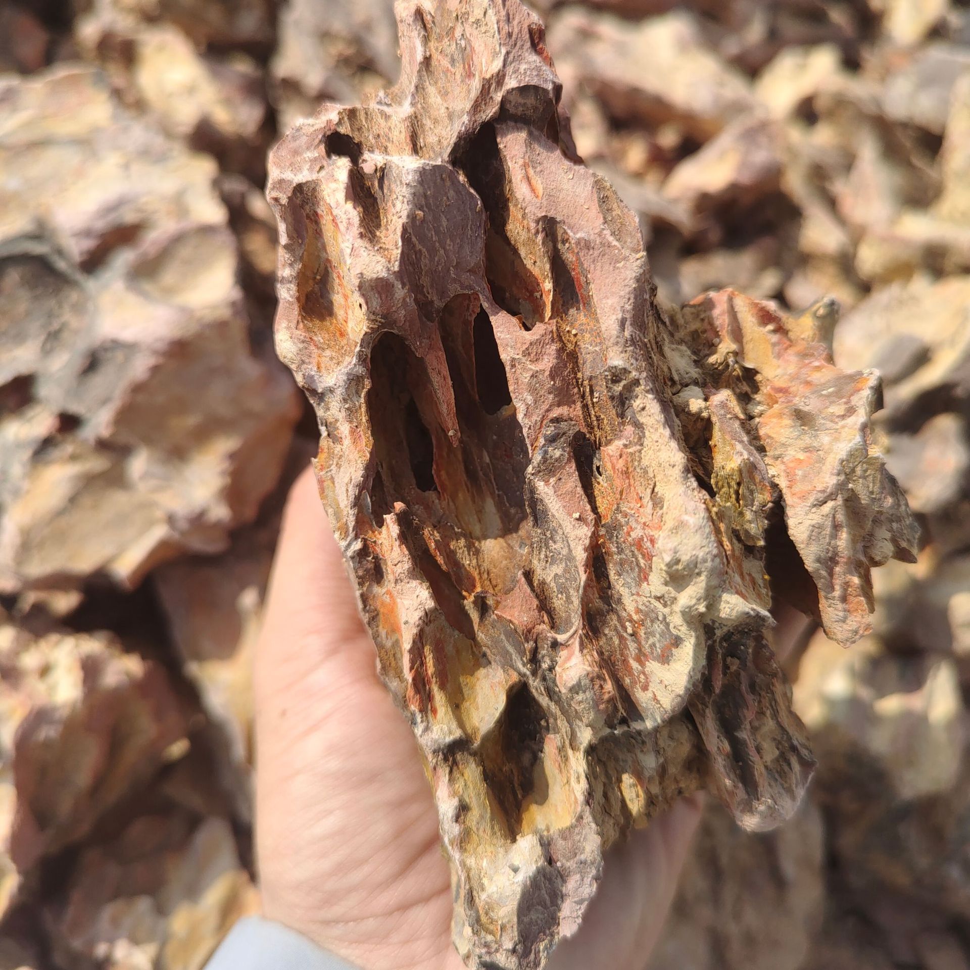 Aquarium micro landscape pine skin stone gardening fish tank…