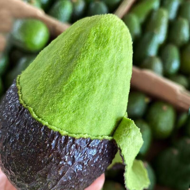 Peruvian Imported Avocados, 6-Pack, Fresh Seasonal Fruit for Pregnant Women and Baby Food, Whole Box of Large Fruits, Free Shipping Peruvian Imported Avocados, 6-Pack, Fresh Seasonal Fruit for Pregnant Women and Baby Food, Whole Box of Large Fruits, Free Shipping