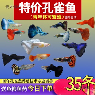 ��ȸ�~С�~�Ꭷ�~ȫ�N�������B�^�p�~С�͵�ˮ���R�~�����̫��