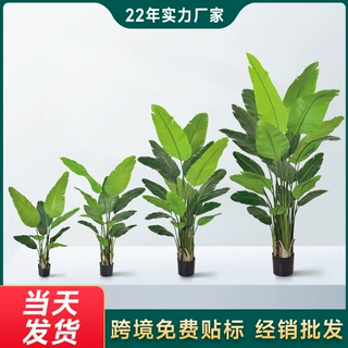 高端轻奢仿真绿植旅人蕉盆栽客厅落地仿生天堂鸟植物假树落地摆件