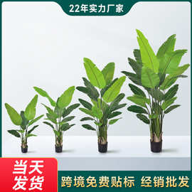 高端轻奢仿真绿植旅人蕉盆栽客厅落地仿生天堂鸟植物假树落地摆件