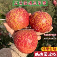 ���������ͨԭ���B�����ĳ��O��ԭ�a�جFժ�����֭ԭ�a��ֱ�l