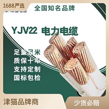 天津小猫厂家国标铜芯电缆YJV22多型号电力行业纯铜电线充电桩