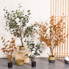 ���W�����ȼ�����پGֲ�[���ձ����Rֲ�����Կ͏d����b��R��ľ