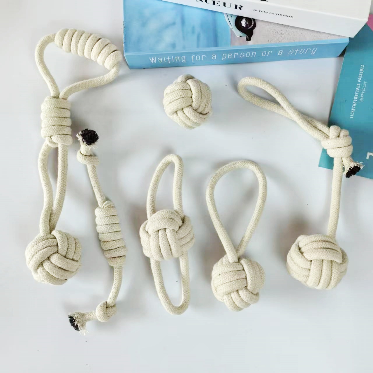 微信图片_20240902111925_副本