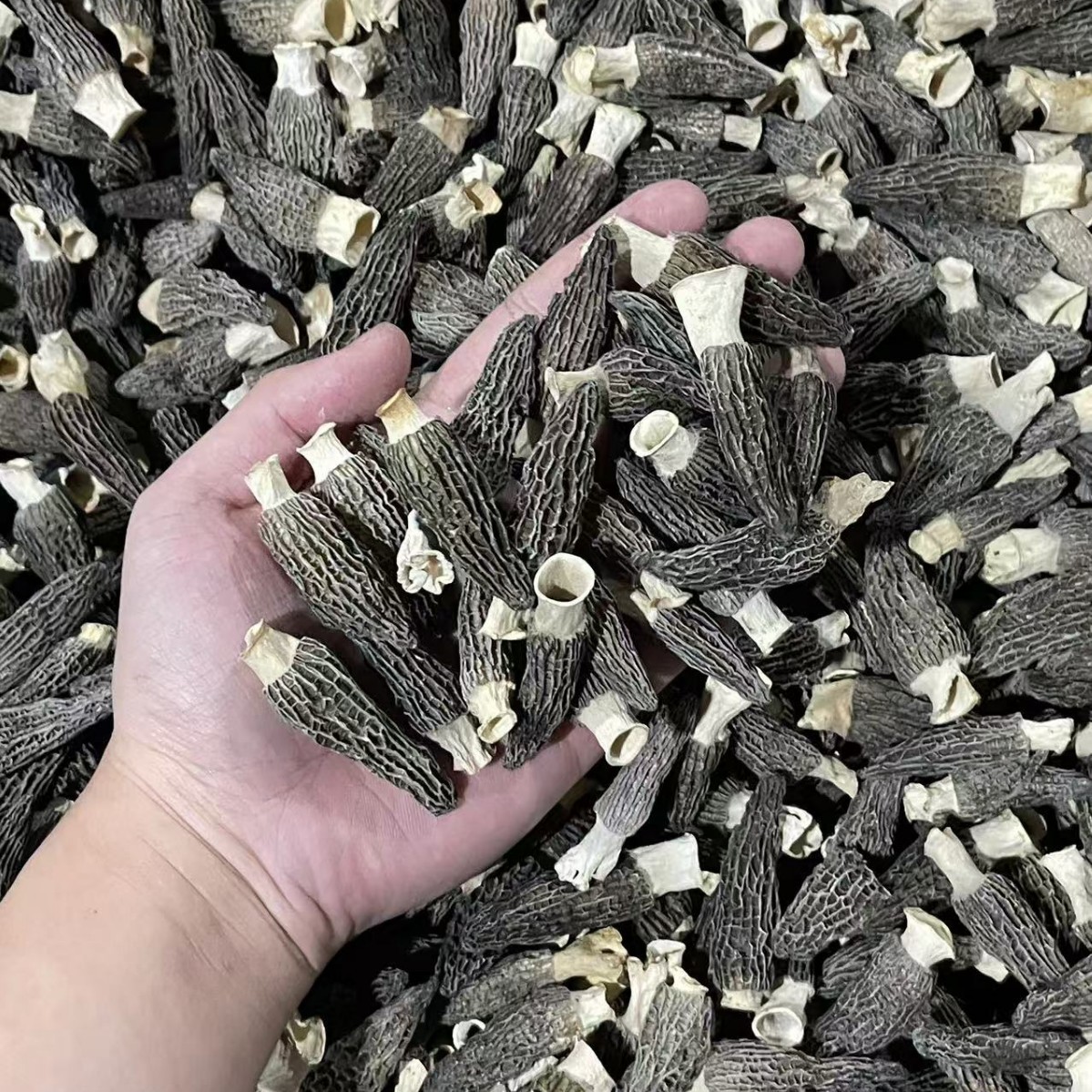 Dried Morel Mushroom 4-6cm Premium Grade Yunnan Soup Ingredient 50g Bag key features