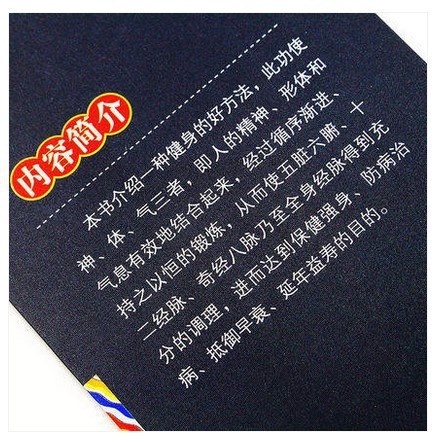武術書籍図解易筋経、洗髄経易筋経養生達摩古法と少林カンフー太極|undefined