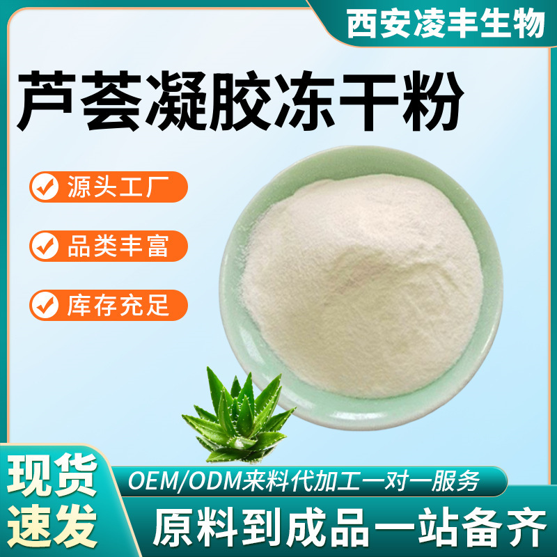 Aloe Vera Gel Freeze-Dried Powder 100:1 200:1 Aloe Vera Gel Freeze-Dried Powder Curacao Aloe Vera Free Sample